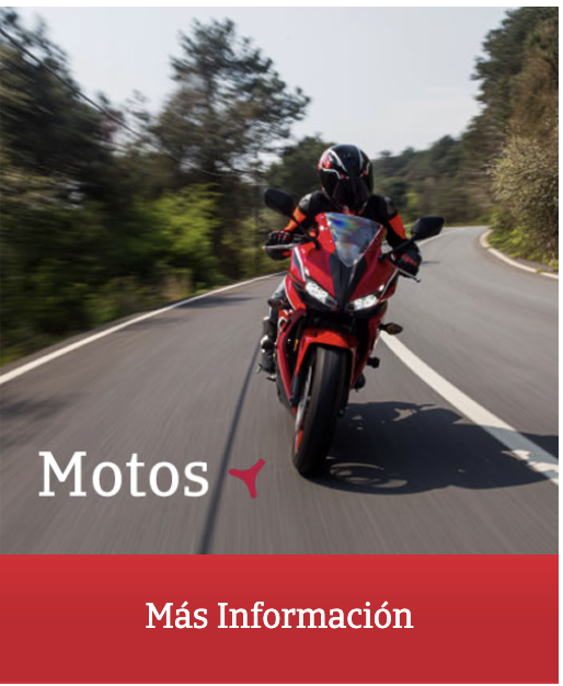 Captura de pantalla 2026-02-11 a las 12.04.01