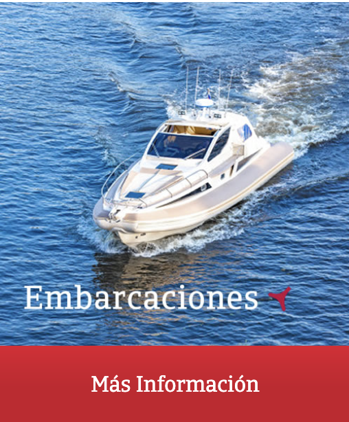 Captura de pantalla 2026-02-11 a las 12.08.59