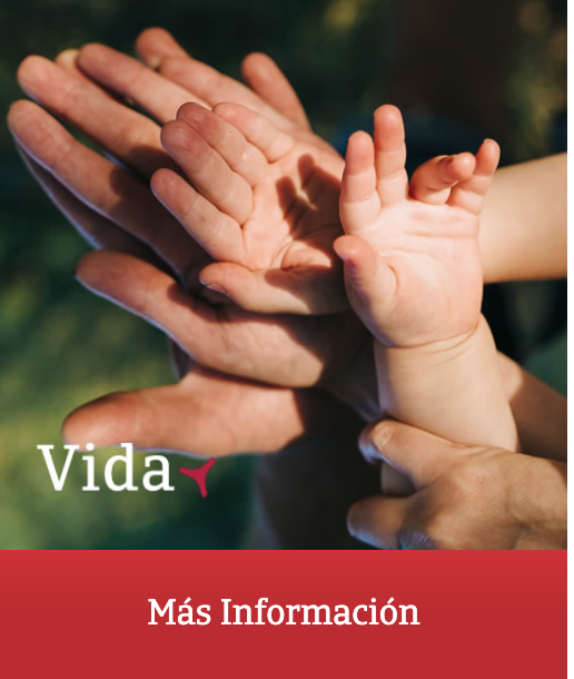 Captura de pantalla 2026-02-11 a las 12.25.37