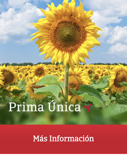 Captura de pantalla 2026-02-11 a las 12.37.32