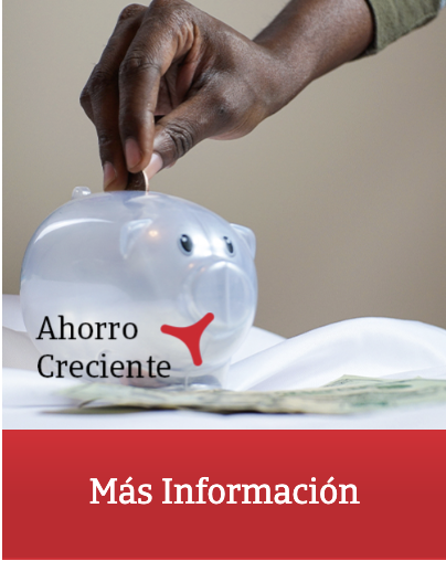 Captura de pantalla 2026-02-17 a las 12.14.05